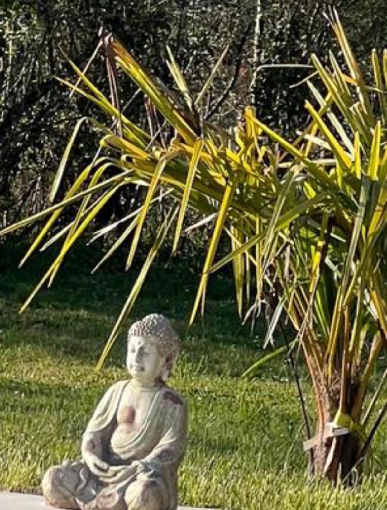 Chambre Au Jardin Tente De Charme Eguzon-Chantome Eksteriør billede